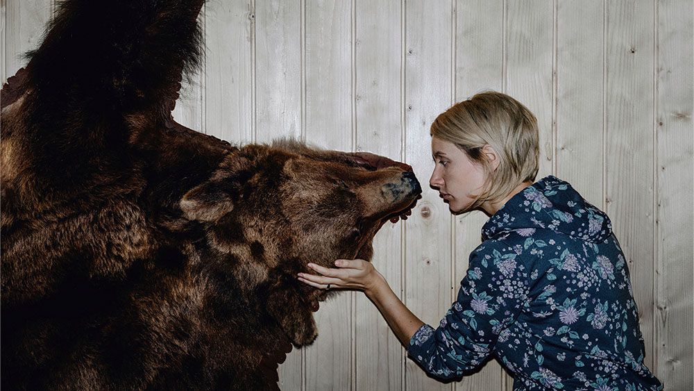Caring for Your Taxidermy - BlogQ2